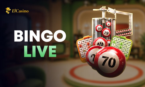 Winmax Bingo Live card